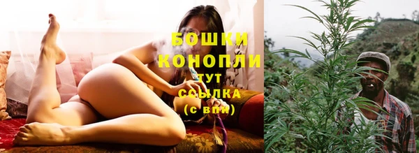 соль ск Тотьма