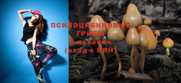 мдпв Кулебаки