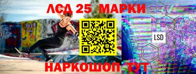 a pvp Камышлов