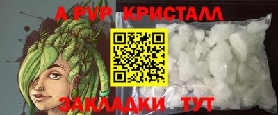 a pvp Камышлов