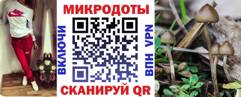 Псилоцибиновые грибы Psilocybe  наркошоп  Углич 