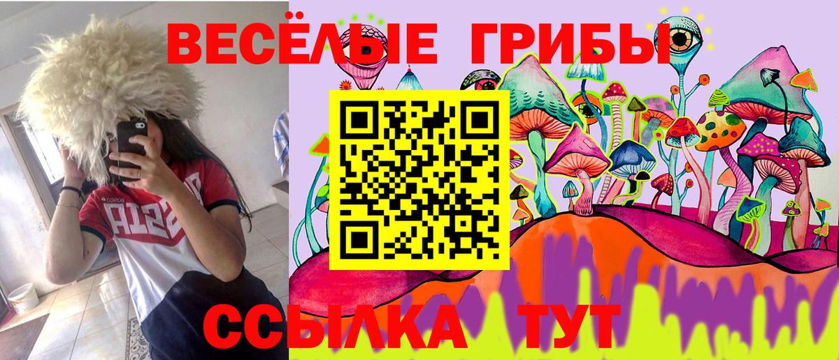 Углич  дарнет шоп  Вход с VPN  Галлюциногенные грибы Psilocybine cubensis 