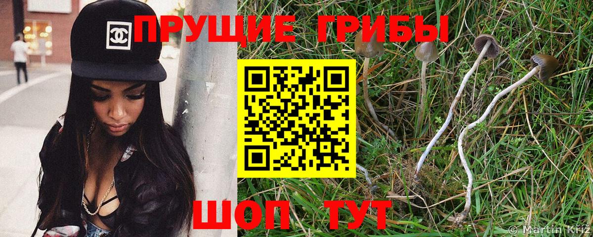 Кокаин  Углич  Каннабис  Вход с VPN  Мефедрон   НБОМе  Гашиш  АМФЕТАМИН  